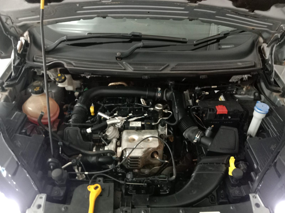 Photo 20 of 20