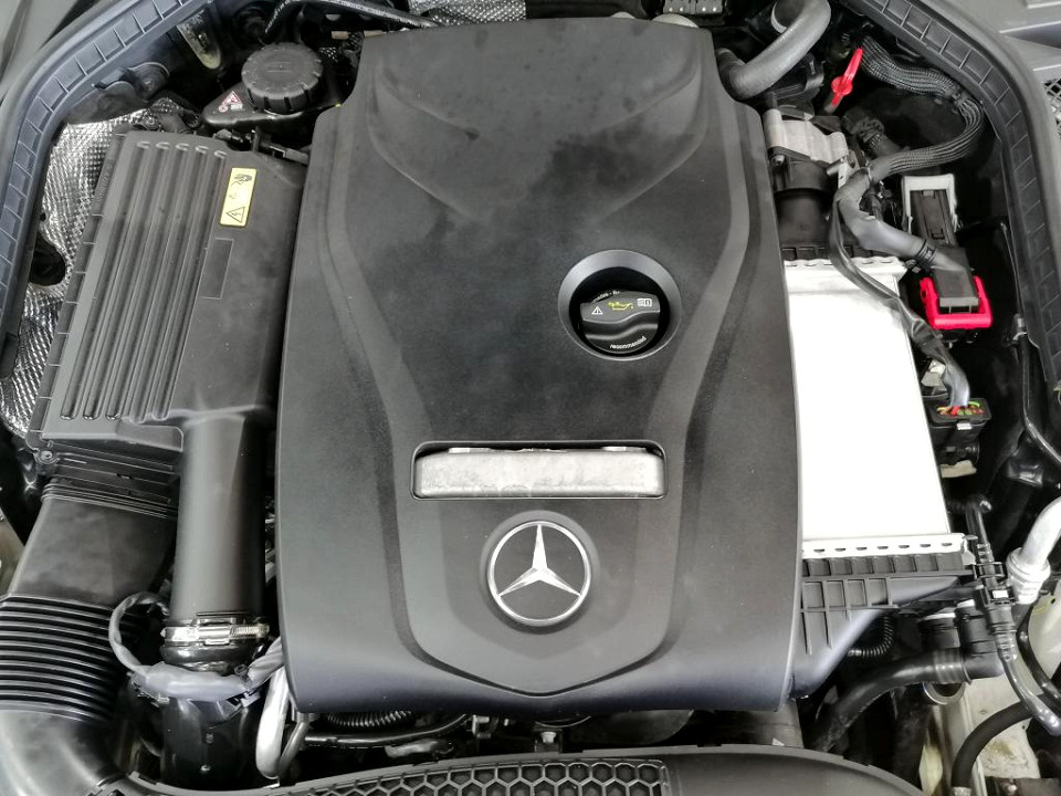 Photo 16 of 16