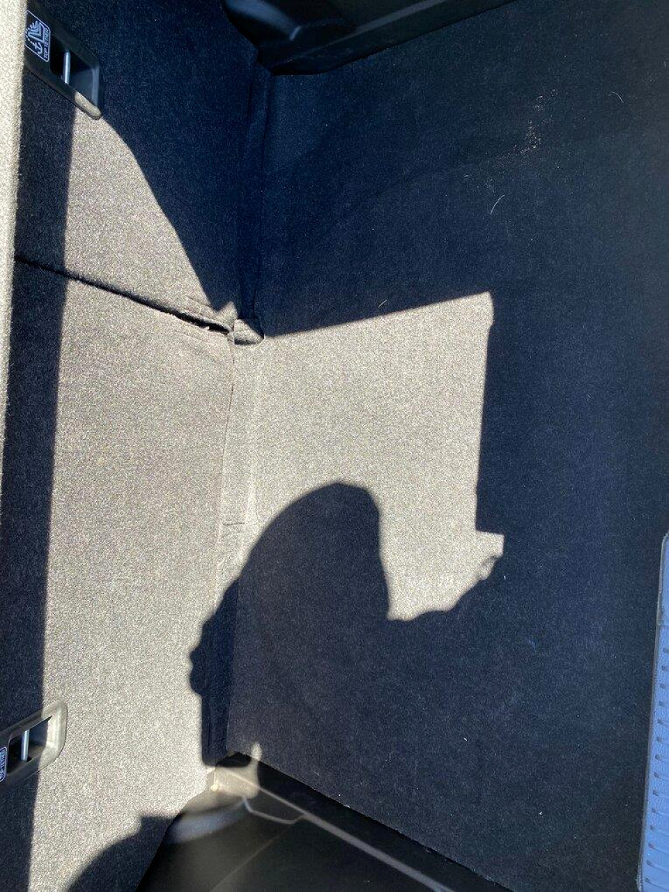 Photo 10 of 11