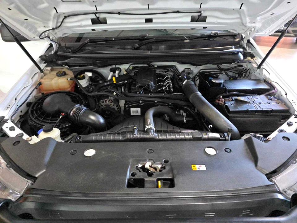 Photo 18 of 18