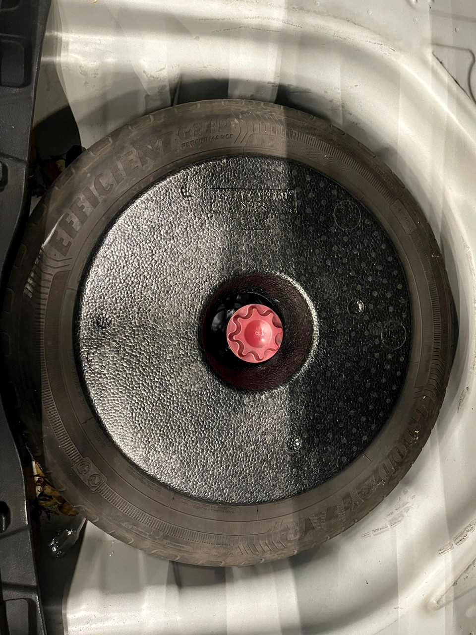 Photo 16 of 16
