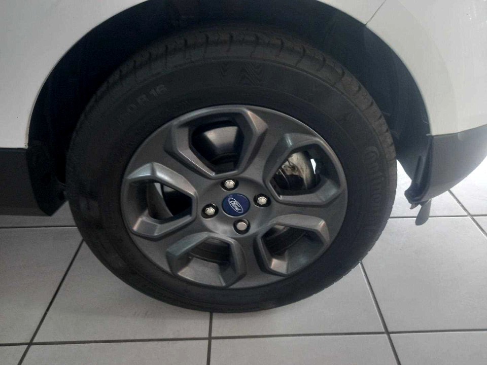 Photo 10 of 20