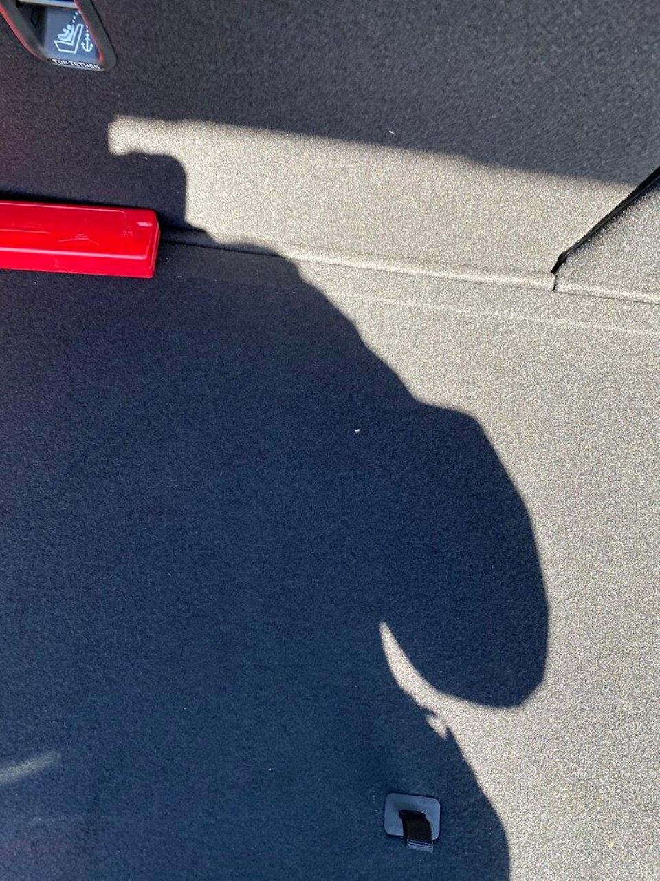 Photo 19 of 19