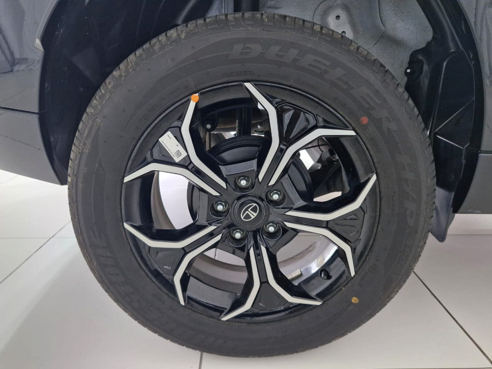Photo 19 of 23