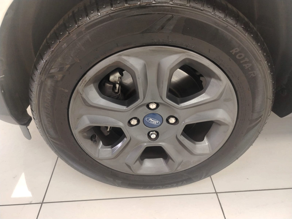 Photo 6 of 29