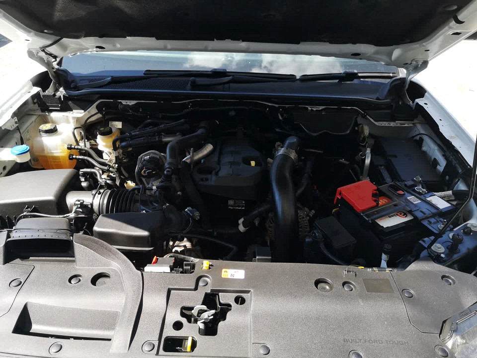 Photo 19 of 26