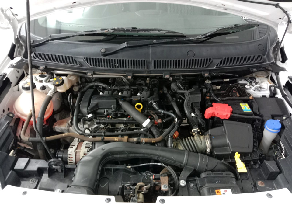 Photo 20 of 20