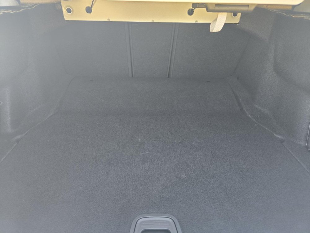 Photo 20 of 20