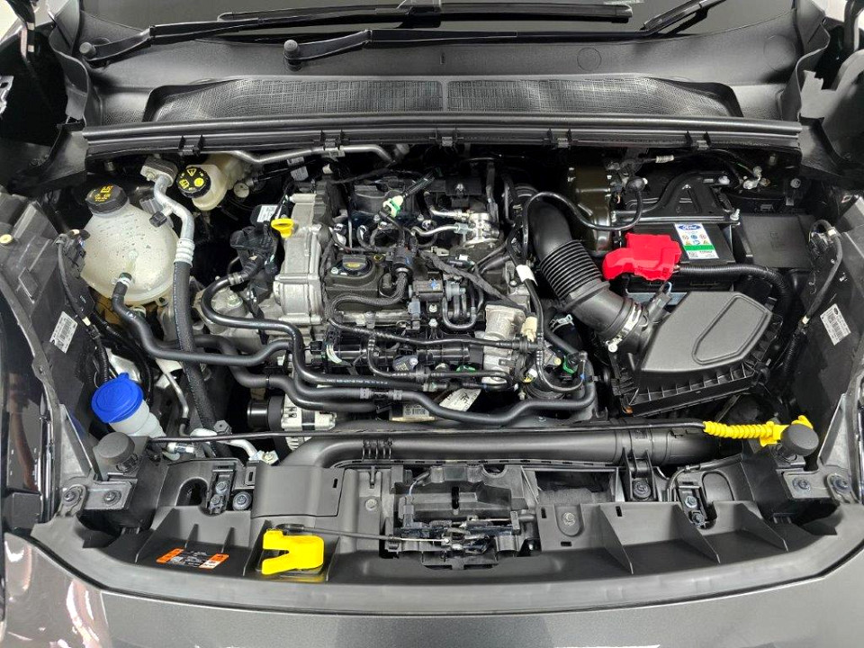 Photo 16 of 16