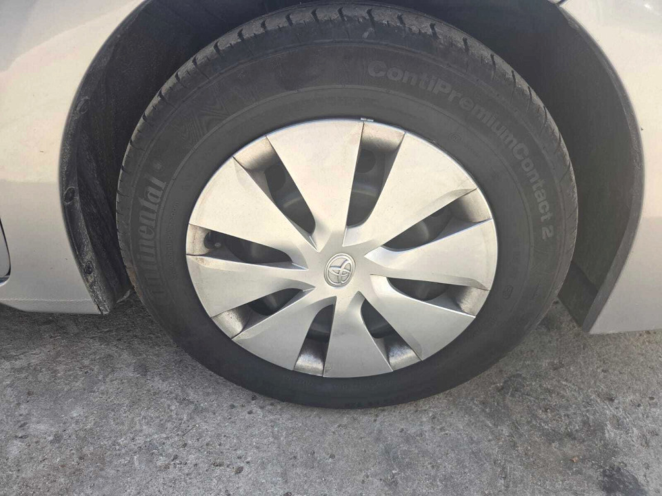 Photo 16 of 16