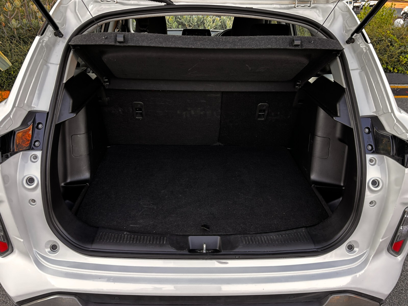 Photo 11 of 19