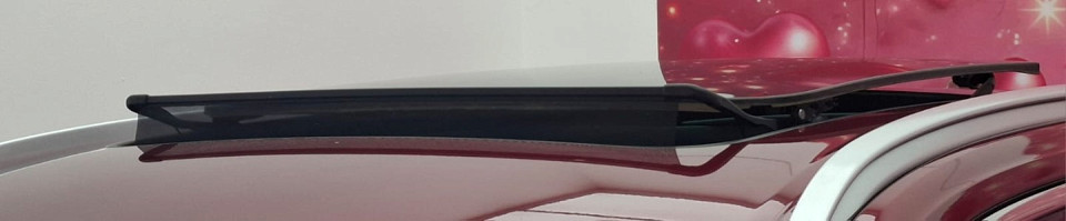 Photo 15 of 20