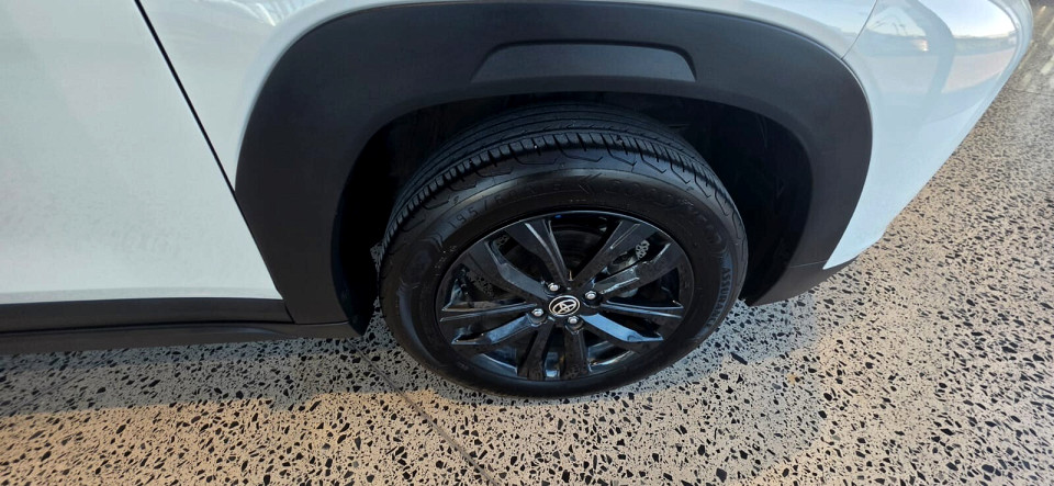 Photo 17 of 17
