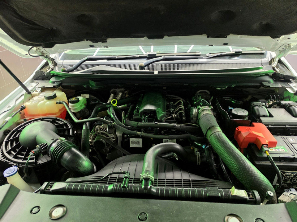 Photo 20 of 20