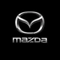 Car dealer