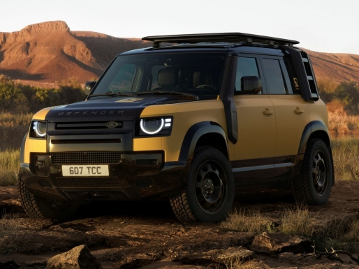 Defender Image